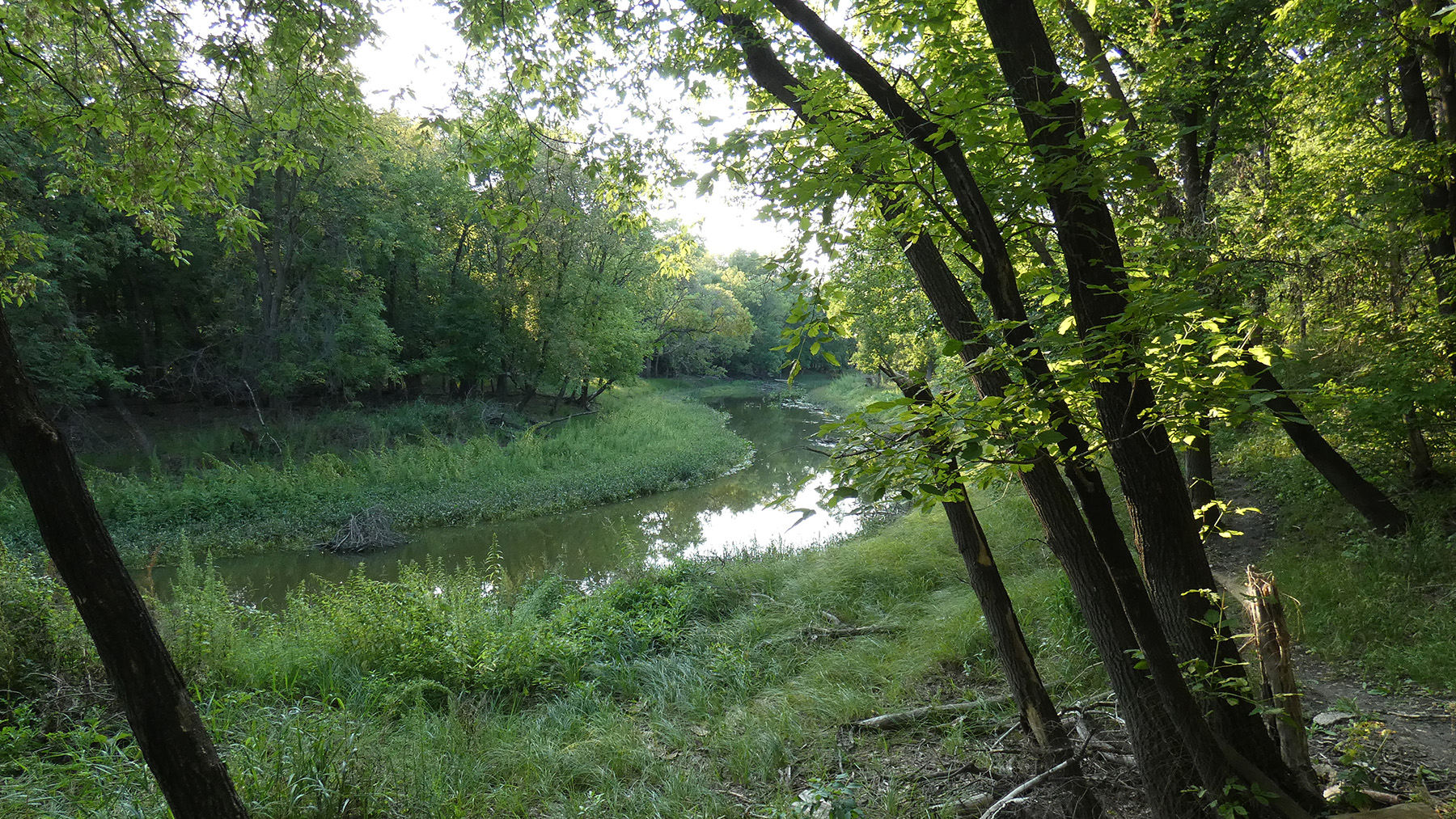 seine
